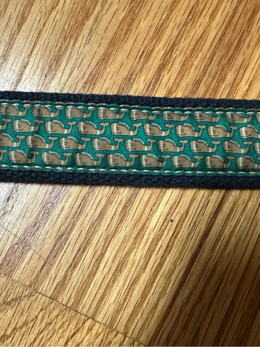 Vineyard Vines Boys Classic Whale Belt in Green